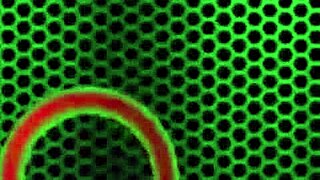 Hey, check out these curvy BBWs Samantha 38G and Angelina Castro diving into a steamy threesome, licking wet pussies and fucking wildly! 🔥