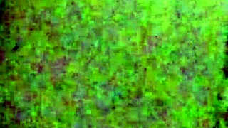 Wife Feels Intense Pleasure During Anal Sex.