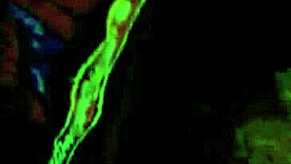 My Secret Life Vintage Lesbians