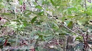 Walking and jogging topless in thong, flashing hairy babe's natural small tits close up