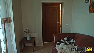 hey, my hot wife invited a badass bull for some fun