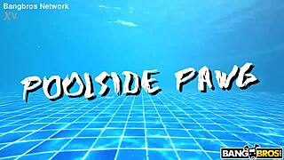 Poolside Pawg Blowjob Facial Creampie Cumshot With Hairless Pussy