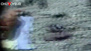 Curvy milf flashes pussy on beach, then fucked from behind