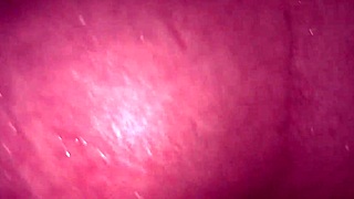 I brought a tourist to my hostel and we ended up in the bathroom