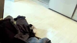 dolly dyson leads wild orgy with damil and jesus