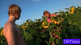 kitty and mark hang out in a sunflower field