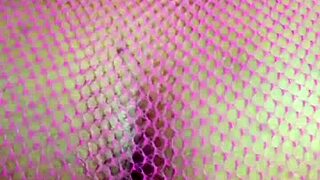 big ass pussy anal plug massage handjob asshole muff diving cunilingus