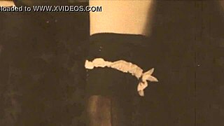 dark lantern entertainment presents my secret life