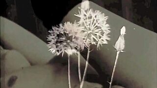 Vintage Fucking In 1960s Blue Films