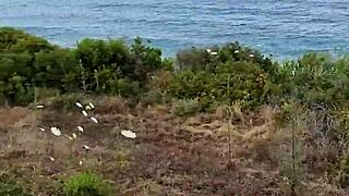 Petite Milf Blowjob Exhibition In Cyprus Outdoors