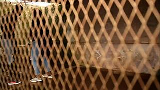 Footballer on vacation in africa meets mature woman for public fuck in park?