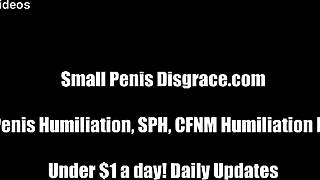 Shame Your Tiny Penis