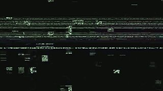 dr tampa university physical with logan lace