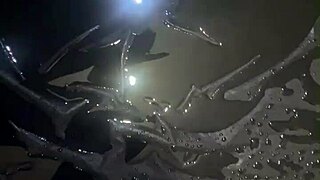 adventures of milfycalla involve playing with pee