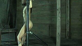 Imagine bdsm sex with couples in doggystyle fucking
