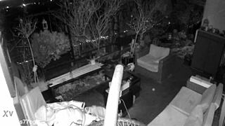Markus caught jerking and cumming loudly on spy cam outdoors