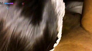 Can you compare my big black cock to his tiny one?