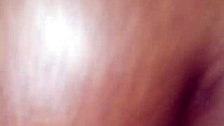 trade fucking this ass in tampa florida