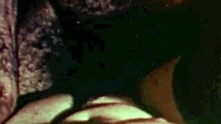 I presnt the dragonfly freddie from dark lantern entertanment