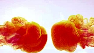 Busty Blonde Amaris Squirts Streams Over Herself