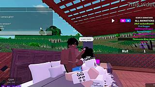 threesome blacked with two bunnies and one bull