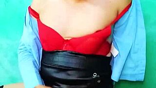 Sucubo-Cow - Update 1 - Parafanhouse2 - Jan 02 2025