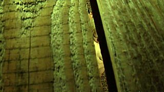 Voyeur Lesbian Slave Masturbating And Orgasming While Watching Naked Madame