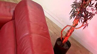 Linet slag uses a dildo on her ass while her pussy gets pounded hard