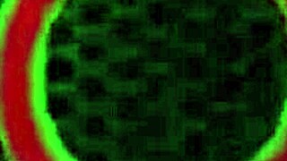 Nyomi star fucks bubble ass hottie in outdoor doggystyle with monster cock