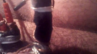 electrifying encounters with penis and cock