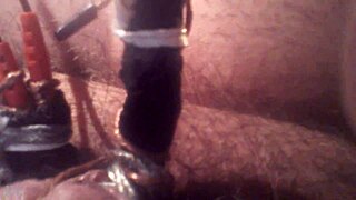 electrifying encounters with penis and cock