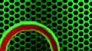 trimmed pussy brunette jelena jensen plays with her toys 😘