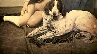 Dark lantern entertainment presents beauty and the beast