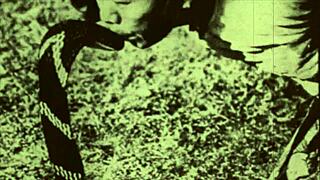 Dark lantern entertainment presents beauty and the beast