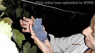 my neighbor thanked me for the grapes with cunnilingus - lesbian illusion girls