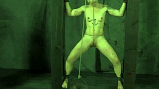 Rope-bound slut endures rough hardcore fucking and nasty sucking