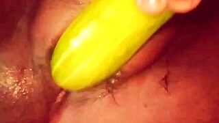 desi bhabhi shares her homemade videos