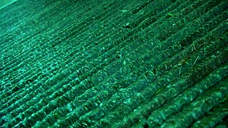 i got this latina mom to suck my cock deepthroat style