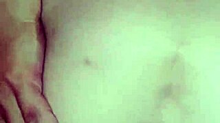 Black Bulls Bunny Ravishing Ray Main Bunny