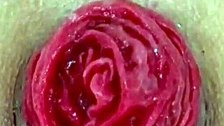 Detailed Close-Up of Juicy Anal Prolapse Destruction and Asshole Play