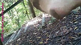 Nylon Walk in the Forest