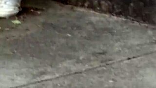 Is this risky public piss at the hydroelectric plant just a piss whore's mid-day fantasy?