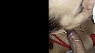 Colombian wife stars in homemade trio casting interview.