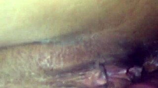 In the dimly lit room, an interracial couple engages in passionate sex, her pussy growing wet with desire.