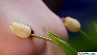 Big boobs tgirl izzy wilde is ass rimmed?