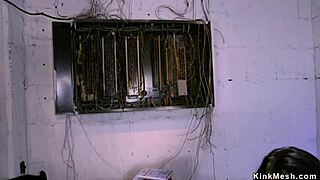 Asian slave endures anal fucking in intense lezdom bondage session