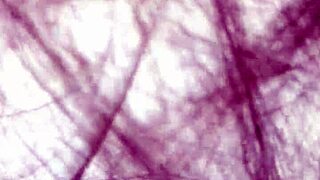 bhabhi fucked in kitchen 😏