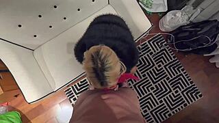 Elenaxxx Gives Couch BJ And Bed Missionary POV