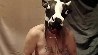 slave your humiliating anal doggy soiling starts now