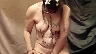 slave your humiliating anal doggy soiling starts now